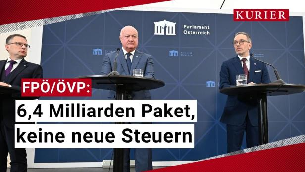 FPÖ/ÖVP: Budgetpfad steht - keine neuen Steuern