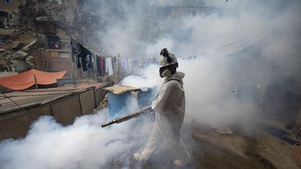 Auch das Dengue-Virus ist auf dem Vormarsch