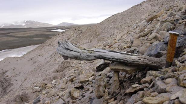 Tauender Permafrost: Wachsende Gefahr für Millionen in arktischen Regionen