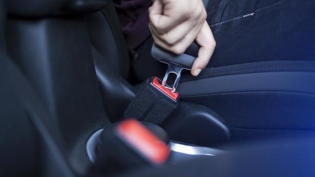 Seat Belt