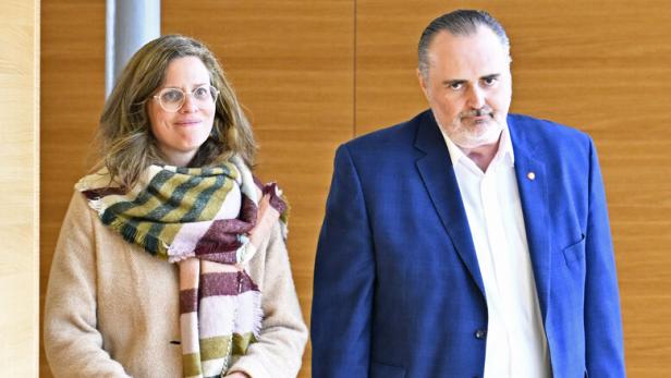 Rote Regierung mit grüner Begleitung?