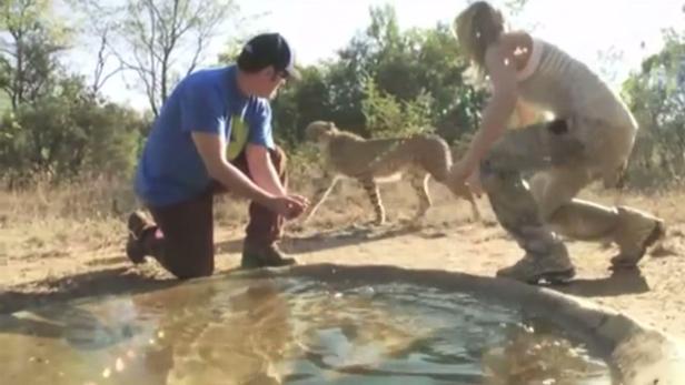 Zwei Personen knien an einem Wasserloch, während ein Gepard vorbeigeht.