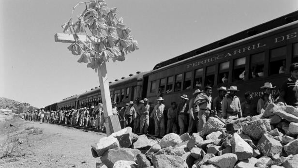 Operation Wetback: In den 1950er-Jahren gab es schon einmal Massenabschiebungen aus den USA