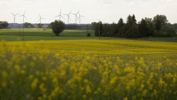 Green Deal: Ein sinnvoller Schritt zurück