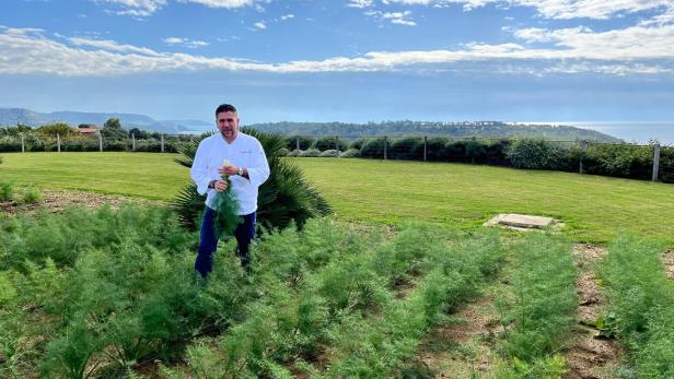 Ein Koch steht auf einem Feld und hält frischen Fenchel in der Hand.