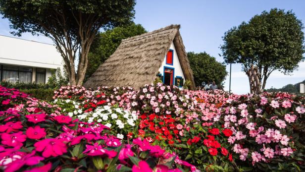 Ein traditionelles strohgedecktes Haus inmitten eines farbenfrohen Blumenbeets.