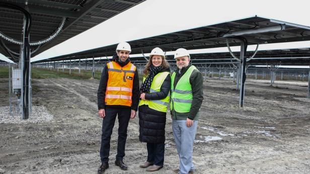 Stephan Sharma (Burgenland Energie), LH-Stellvertreterin Anja Haider-Wallner und Matthias Grün (Esterhazy) im Agri-PV-Park Wallern/Tadten.