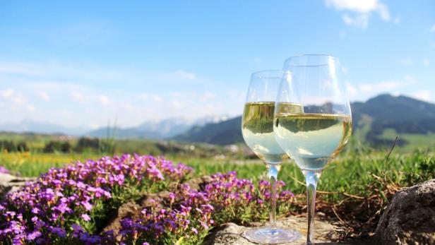 Zwei Gläser Weißwein stehen vor einer Berglandschaft.