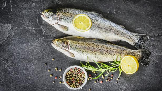Zwei Forellen liegen mit Zitrone, Rosmarin und Pfeffer auf einer dunklen Steinplatte.