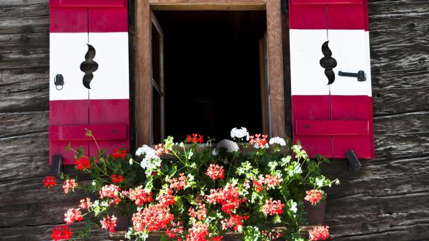 Volets aux couleurs autrichiennes
