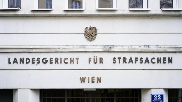 Vienna Regional Court to decide on Austrian businessman Rene Benko's pre-trial detention