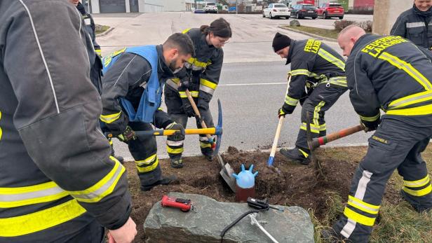 Igel steckte fest: Feuerwehr grub ihn samt Abflussrohr in Laxenburg aus