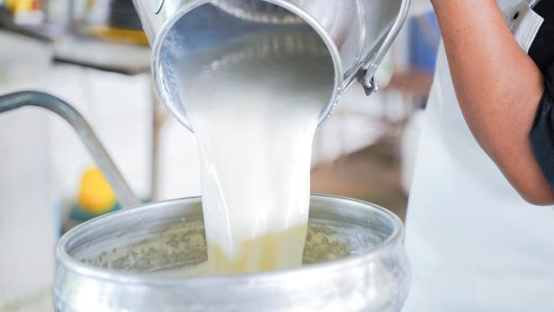 Arbeiter, der Milch in einen Behälter gießt.
