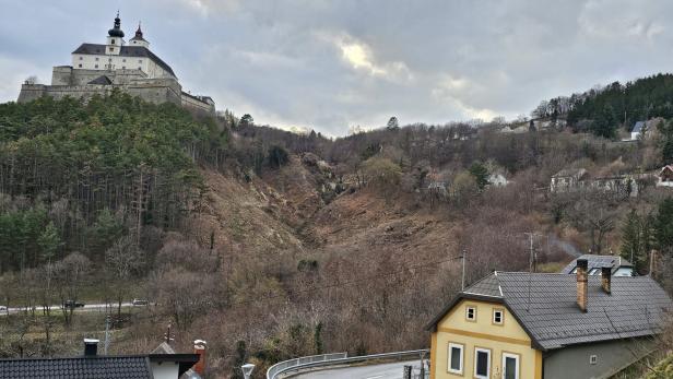 Eine große Burg thront auf einem Hügel über einem Tal mit abgeholzten Bäumen und einigen Häusern im Vordergrund.