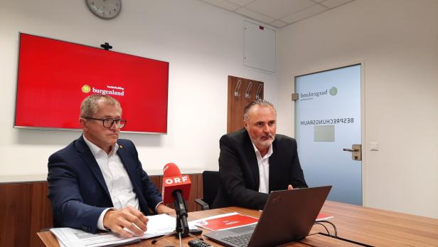 Getrübtes Verhältnis zu Doskozil? Burgenlands Landesholding-Chef vor Abgang