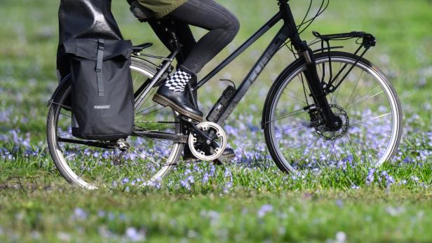 Radfahrer steht in Wiese