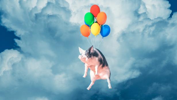 Ein Schwein schwebt mit bunten Luftballons vor einem bewölkten Himmel.