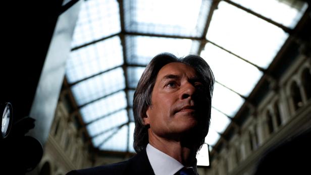 Former Austrian Finance Minister Karl-Heinz Grasser on high court