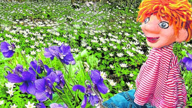 Seppy Seppy im Meer der Frühlingsblumen
