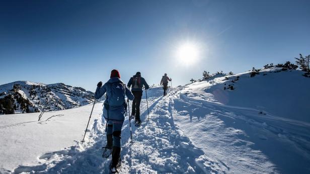 46-192171869 Frau stürzte beim Schneeschuhwandern in Kärnten 100 Meter ab