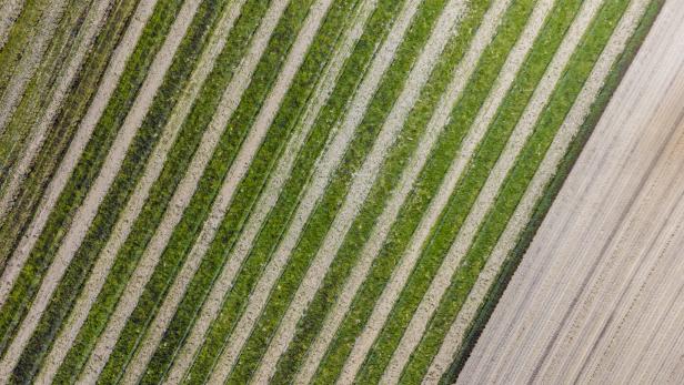 So abstrakt sieht Österreich von der Drohne fotografiert aus