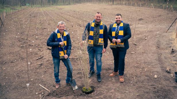 Warum die Vienna mehr als einen Baum aufstellt und die Gegner pflanzen möchte