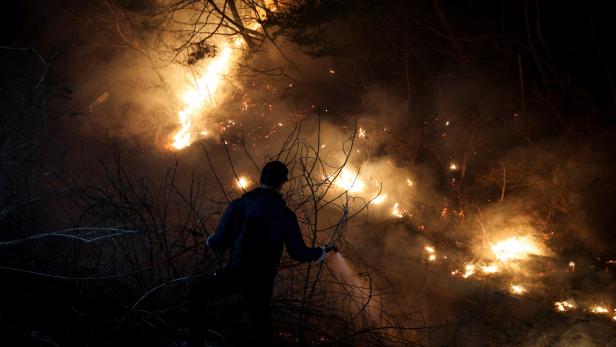 Waldbrände in Südkorea breiten sich aus: Zahl der Toten steigt auf 26