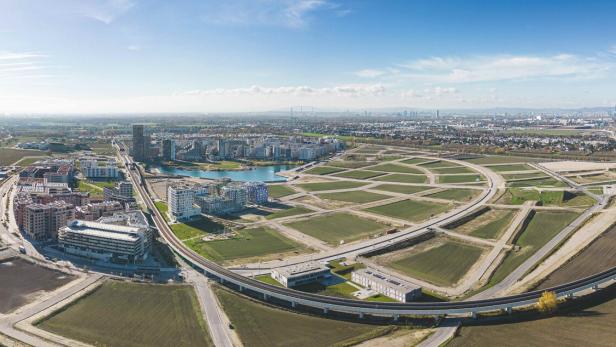 Eine Tour durch die Seestadt Aspern: Bäume, Bauten und Big Data