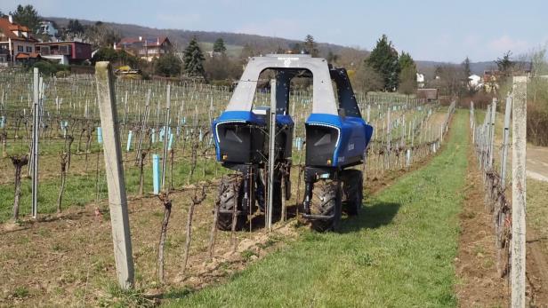 46-214113480 „Robo-Winzer“: Neue Zeiten im Weingarten