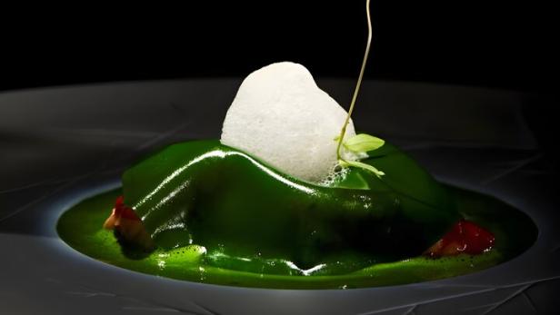 Angerichteter Teller bei Jauan Amador: ein Schaum auf einem Blatt, das wiederum einen Bestandteil des „Laubfrosches“ bedeckt. Rundherum Sauce.