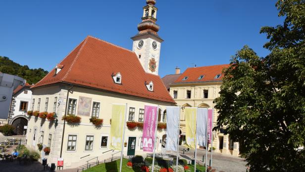 46-167456252 Vorsicht! Betrüger im Namen der Stadtgemeinde Mödling auf Datenfang