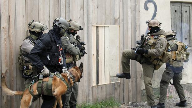 Das Bundesheer setzt Militärhunde etwa zum Schutz von Gebäuden ein. Zubeißen dürfen sie nur in letzter Konsequenz.