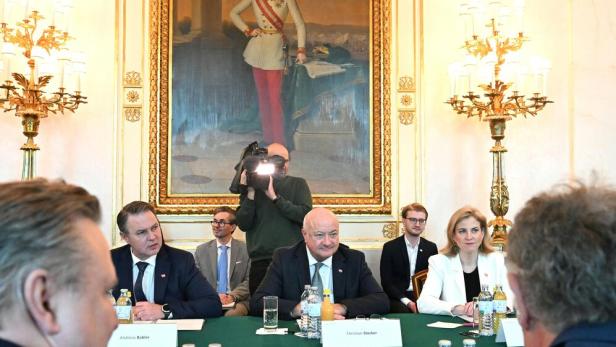 Experte Badelt fordert: "Alle 2.449 Förderungen überprüfen"