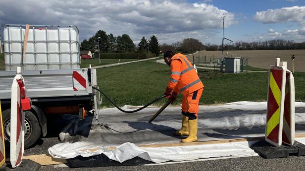 MKS: Erste Länder stoppen Fleischimporte aus Österreich