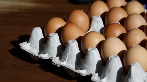 Avian flu causes egg prices to soar in US Avian flu causes egg prices to soar in US