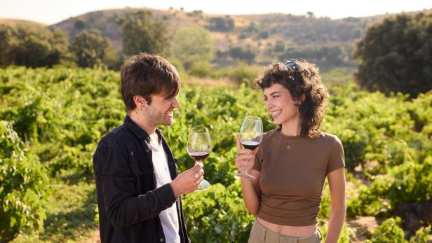 Ribera del Duero: Spaniens Weinstraße entdecken