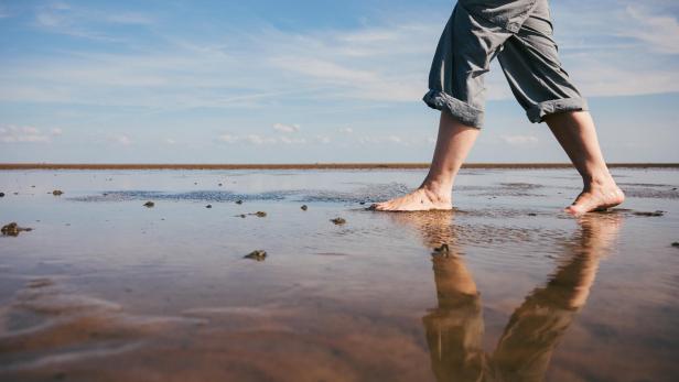 Spaziergang durch Wattmeer.