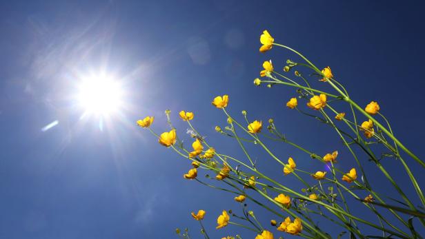 Wetter: Mit Sonnenschein und warmen Temperaturen in die Osterferien