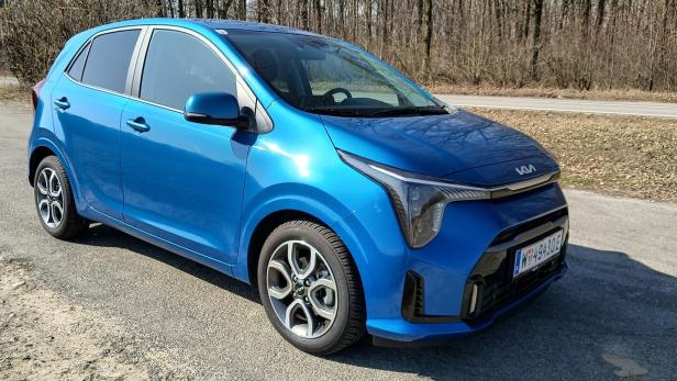 46-214335435 Kia Picanto: Wackerer Vertreter einer bedrohten Spezies