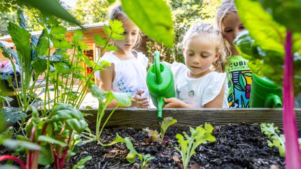 Gärtnern mit Kindern