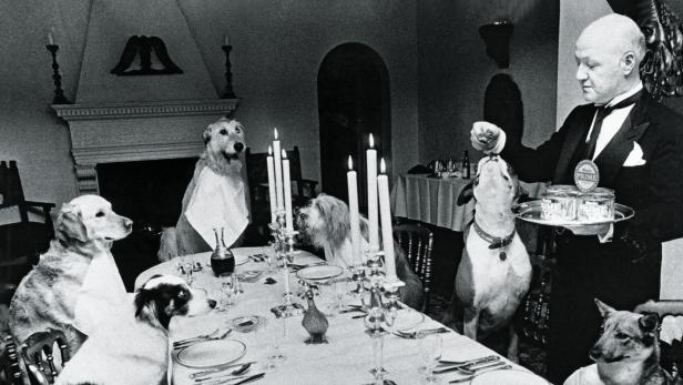 Ein mit Tischdecken und Kerzenständern gedeckter Tisch, Hunde mit umgehängter Serviette sitzen darauf. Ein Buttler bringt das Futter