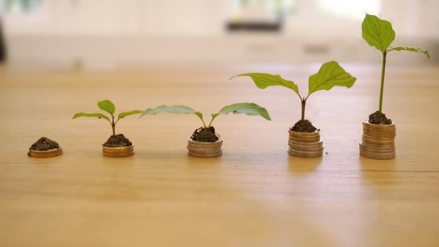 Zinsentwicklung und ihre Auswirkungen auf die Baufinanzierung