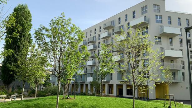 Ein modernes Mehrfamilienhaus mit einer Wiese mit Bäumen vornedran.