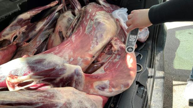 Beschlagnahmt: 150 Kilo ungekühltes Fleisch im Kofferraum