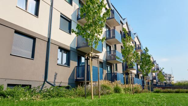 Ein Wohnhaus mit Grünfläche vornedran.