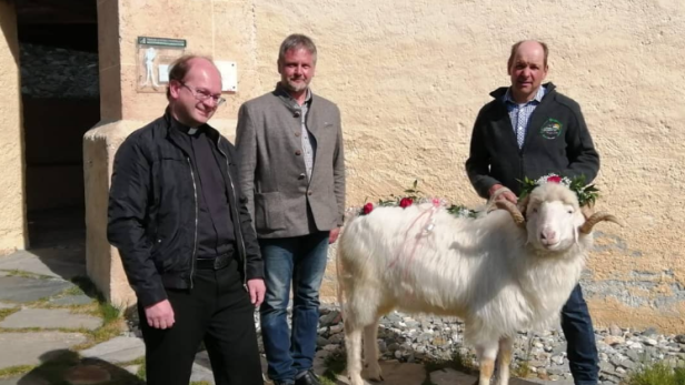 Widder-Wanderung in Osttirol: Das bedeutet der Osterbrauch