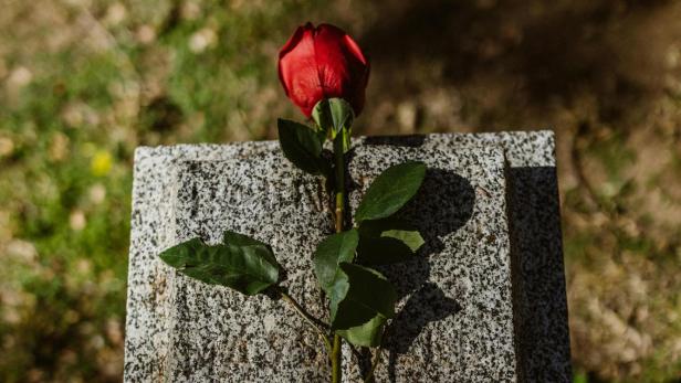Rose auf Stein 