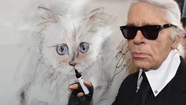 Millionenerbin: Was wurde aus Karl Lagerfelds Katze Choupette?