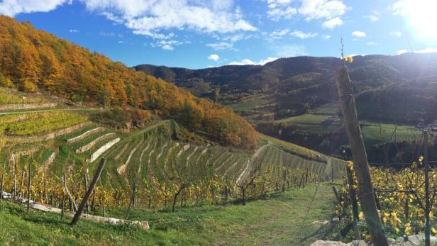 Spitzer Graben in der Wachau.