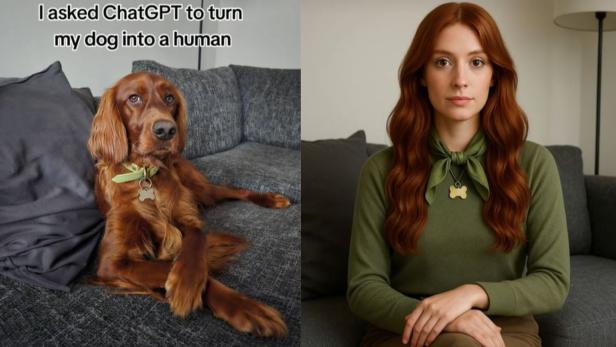 Hund auf einer Couch daneben einen Frau mit roten Haaren im grünen Langarmshirt